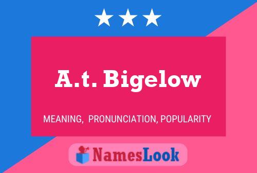 Póster del nombre A.t. Bigelow