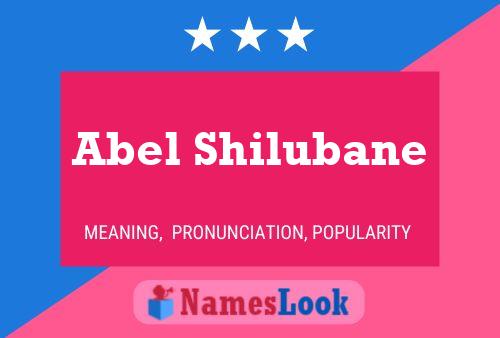 Póster del nombre Abel Shilubane