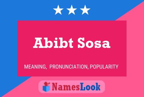 Póster del nombre Abibt Sosa