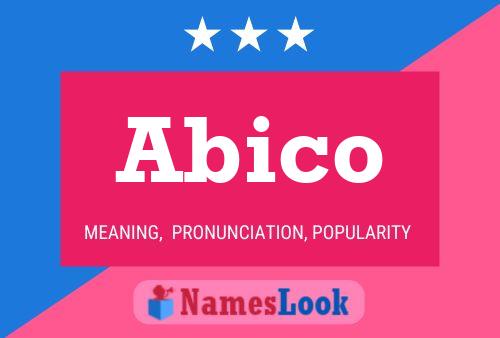 Póster del nombre Abico