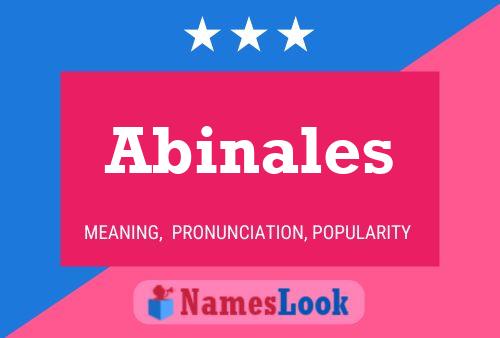 Póster del nombre Abinales