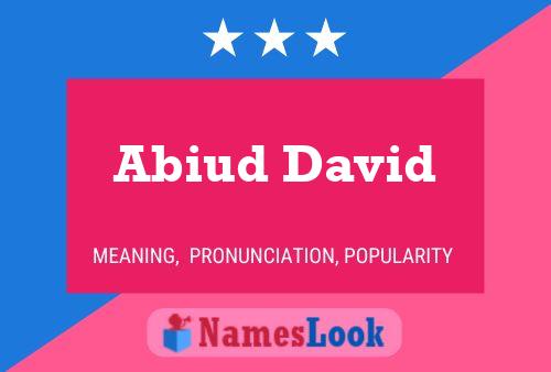 Póster del nombre Abiud David