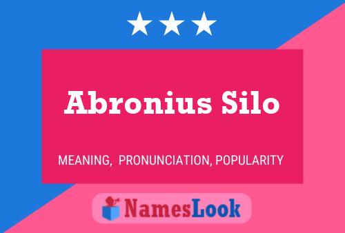 Póster del nombre Abronius Silo