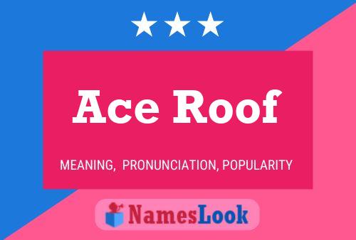 Póster del nombre Ace Roof