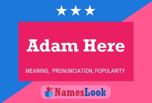 Póster del nombre Adam Here