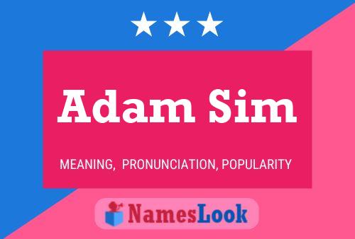 Póster del nombre Adam Sim