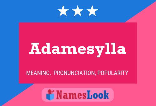 Póster del nombre Adamesylla