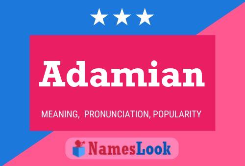 Póster del nombre Adamian