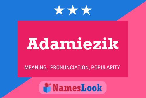 Póster del nombre Adamiezik