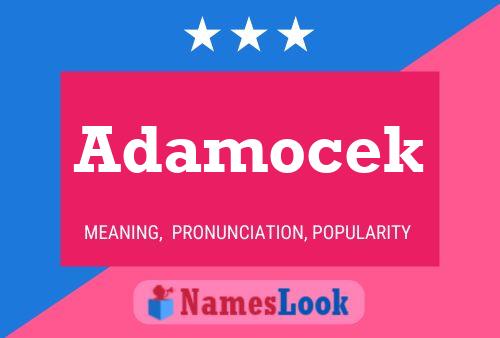 Póster del nombre Adamocek