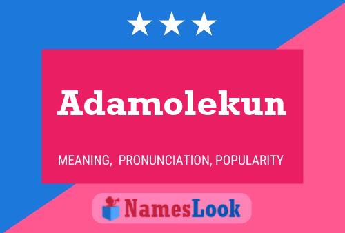 Póster del nombre Adamolekun