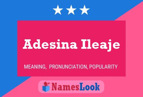 Póster del nombre Adesina Ileaje