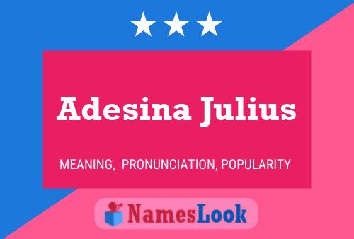 Póster del nombre Adesina Julius