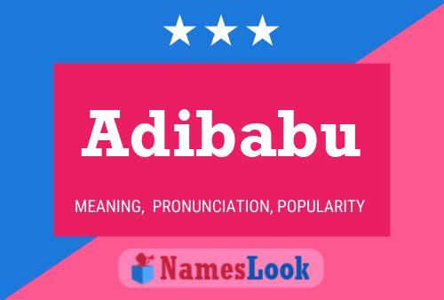 Póster del nombre Adibabu