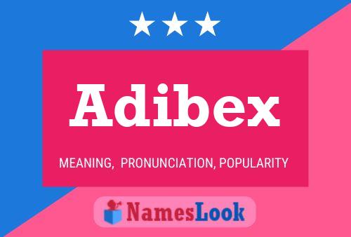 Póster del nombre Adibex