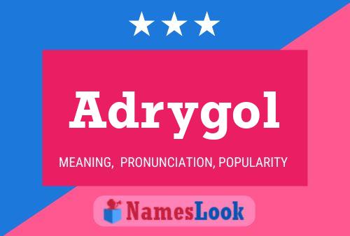 Póster del nombre Adrygol