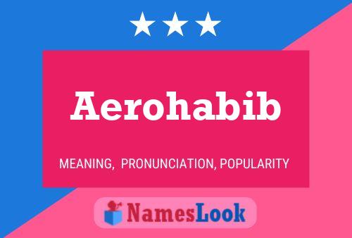 Póster del nombre Aerohabib