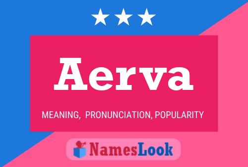 Póster del nombre Aerva