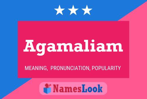 Póster del nombre Agamaliam