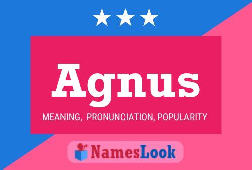 Póster del nombre Agnus