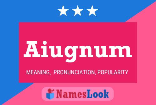 Póster del nombre Aiugnum