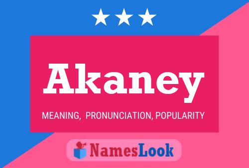 Póster del nombre Akaney