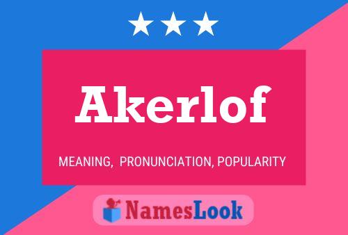 Póster del nombre Akerlof