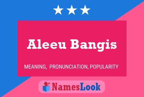 Póster del nombre Aleeu Bangis