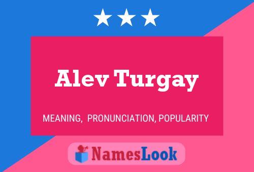 Póster del nombre Alev Turgay