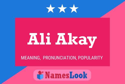 Póster del nombre Ali Akay