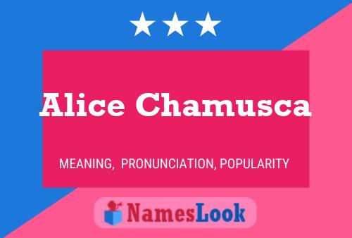 Póster del nombre Alice Chamusca