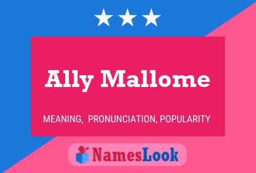 Póster del nombre Ally Mallome