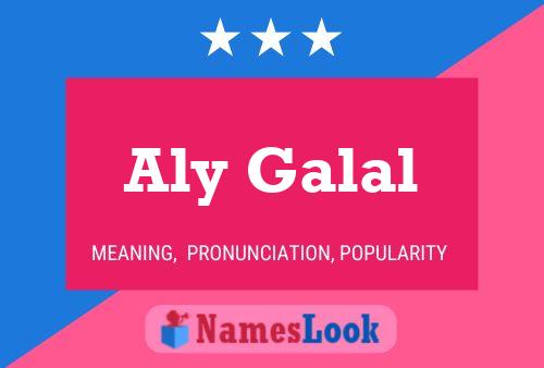 Póster del nombre Aly Galal