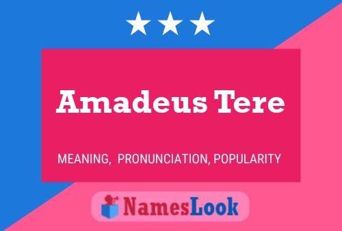 Póster del nombre Amadeus Tere