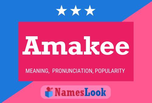 Póster del nombre Amakee