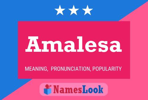 Póster del nombre Amalesa