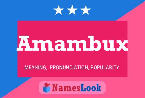 Póster del nombre Amambux