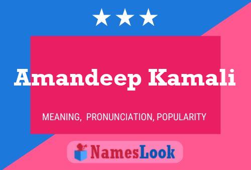 Póster del nombre Amandeep Kamali