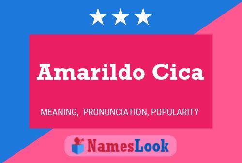 Póster del nombre Amarildo Cica