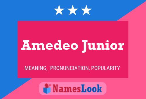 Póster del nombre Amedeo Junior