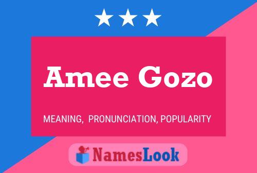 Póster del nombre Amee Gozo