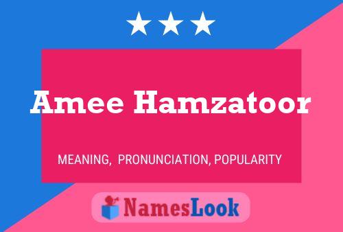 Póster del nombre Amee Hamzatoor