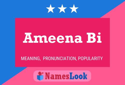 Póster del nombre Ameena Bi