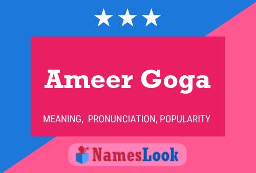 Póster del nombre Ameer Goga