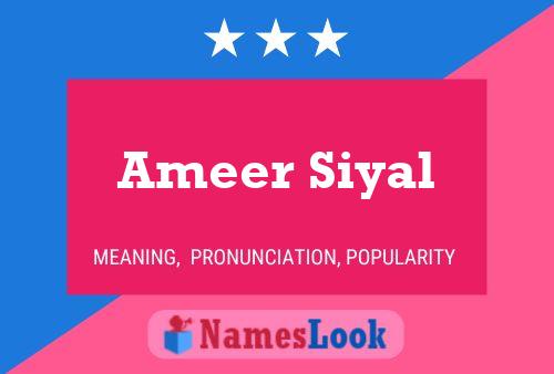 Póster del nombre Ameer Siyal