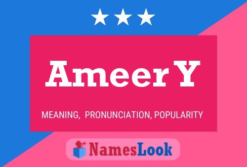 Póster del nombre Ameer Y