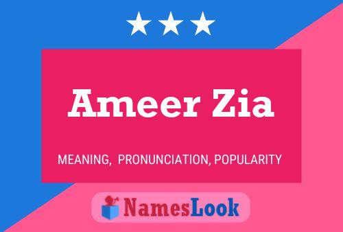 Póster del nombre Ameer Zia