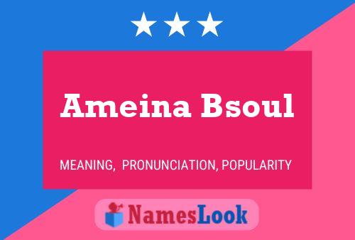 Póster del nombre Ameina Bsoul