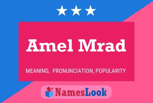 Póster del nombre Amel Mrad