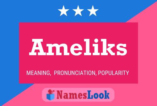 Póster del nombre Ameliks